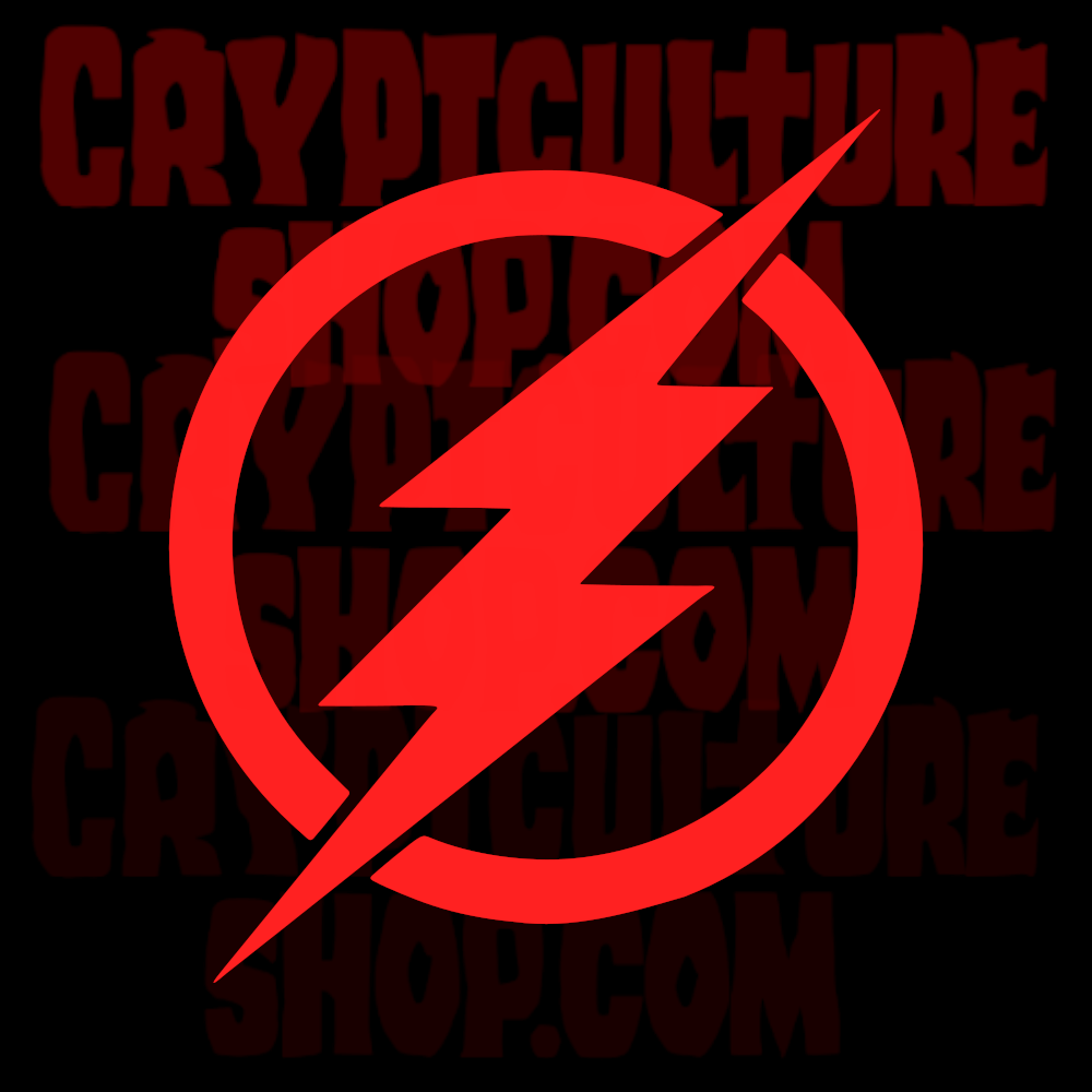 FLASH - Logo