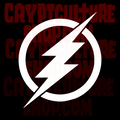 FLASH - Logo