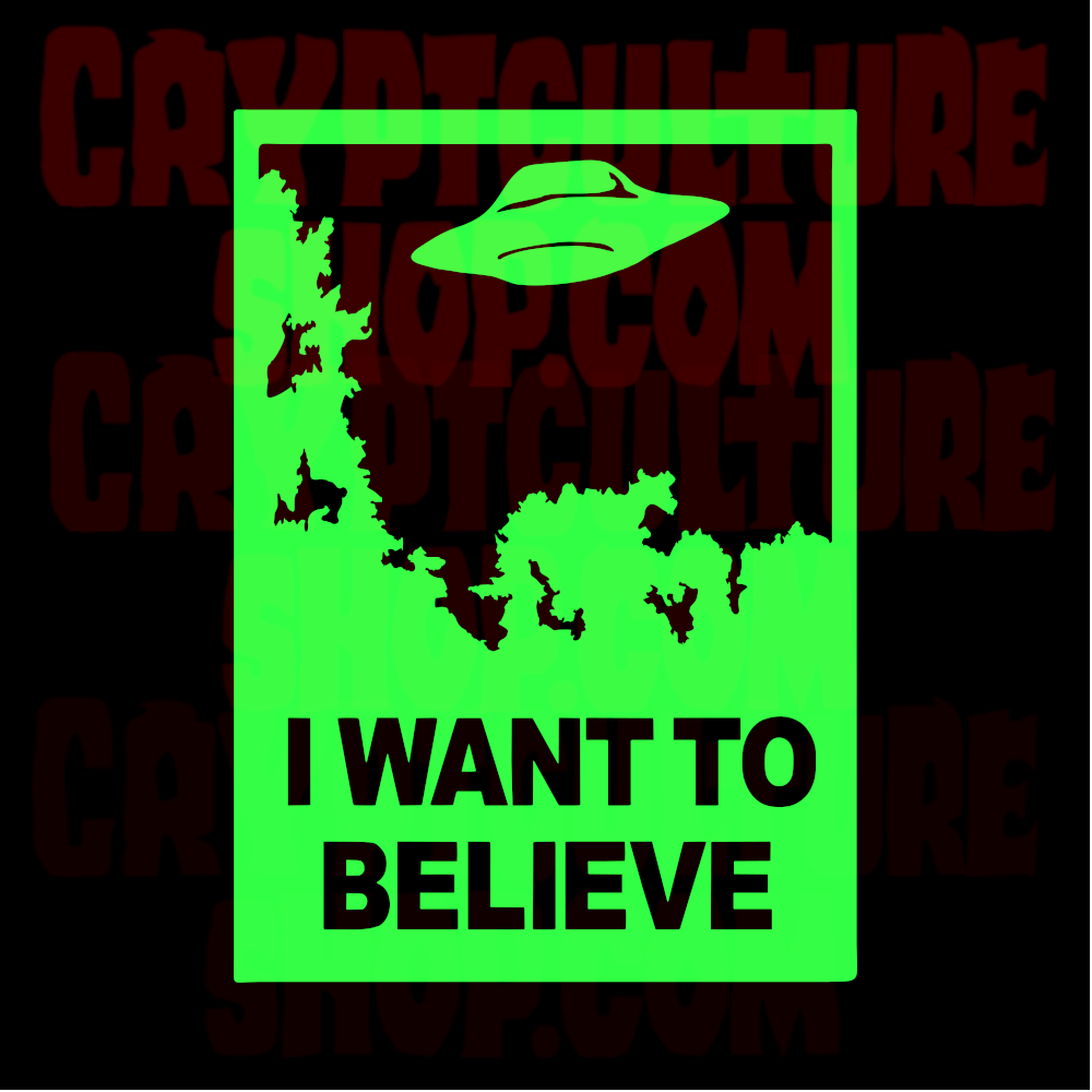 X-FILES - I Want to Believe